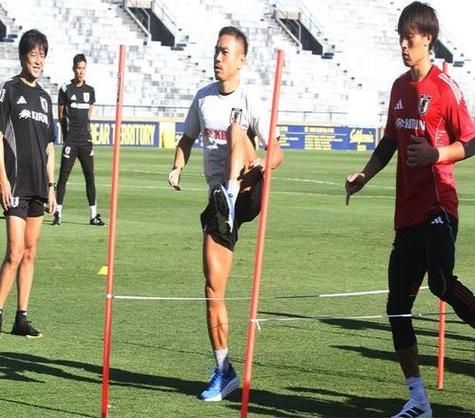 chữa tràn dịch khớp gối bằng ngải cứu